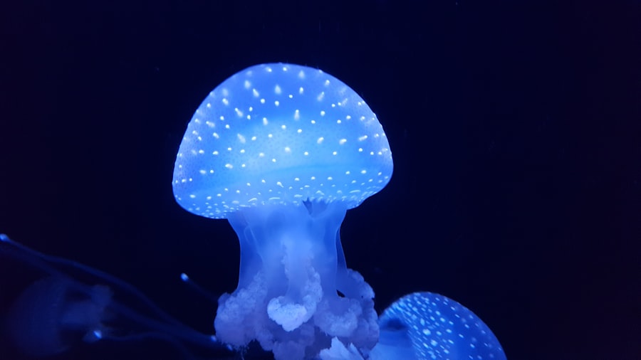 bioluminescent wonders