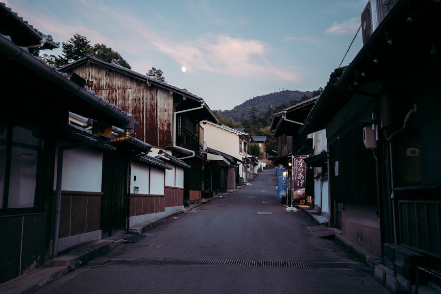 Japan vanishing towns