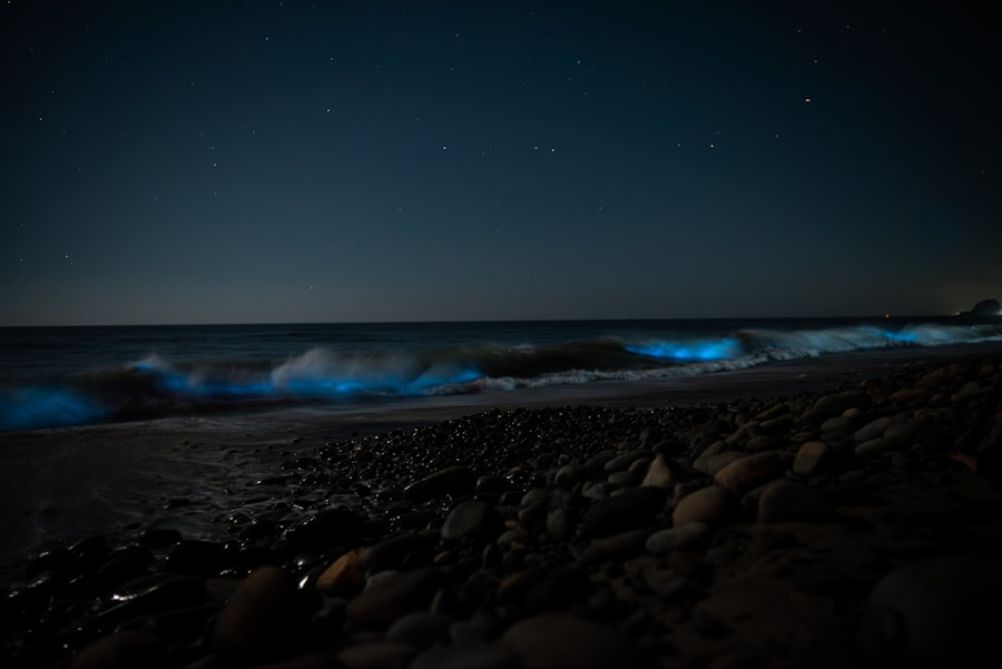 The Hidden Beauty of Ocean Bioluminescent Wonders