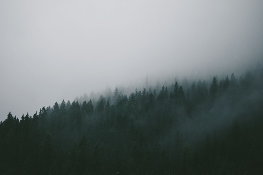 explored
