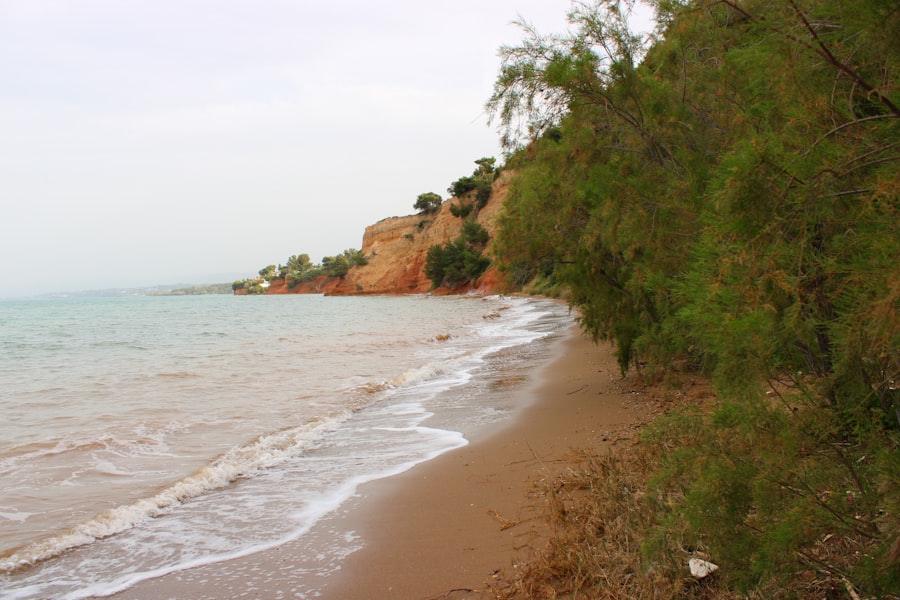 nabta playa