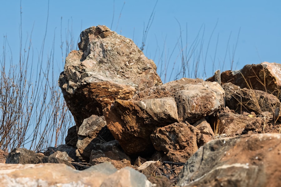 gobekli tepe vulture stone calendar discovery