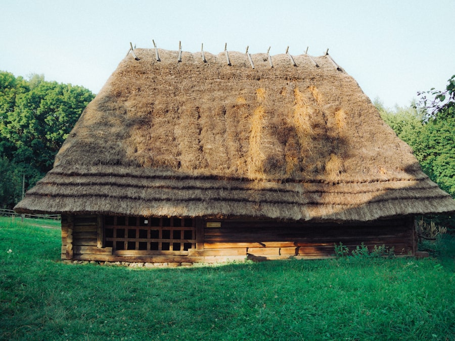 neolithic domestic life