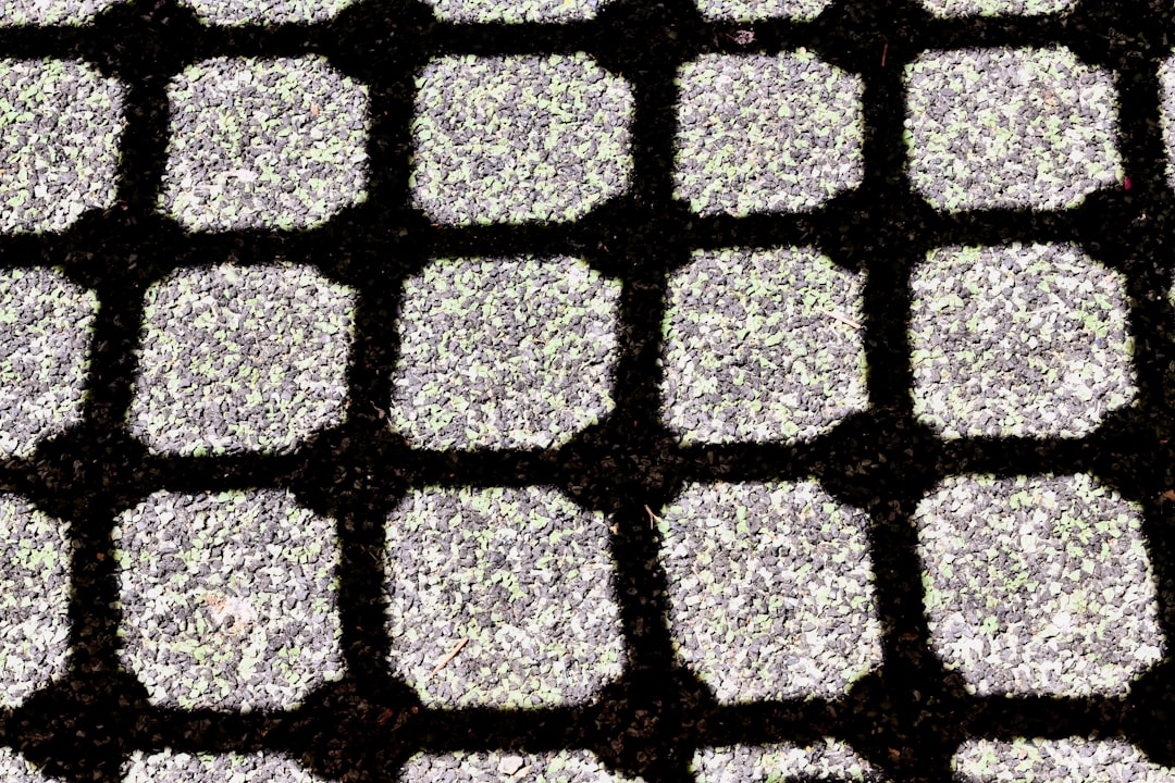 Photo microfossils