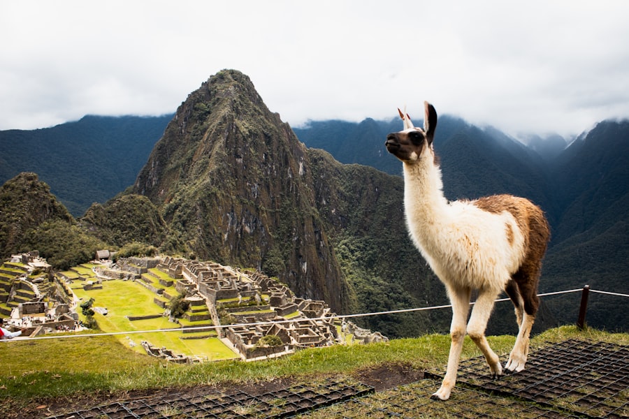 Photo machu picchu