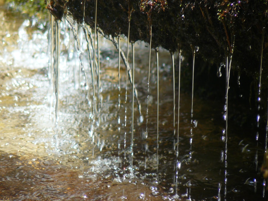 Photo water management systems