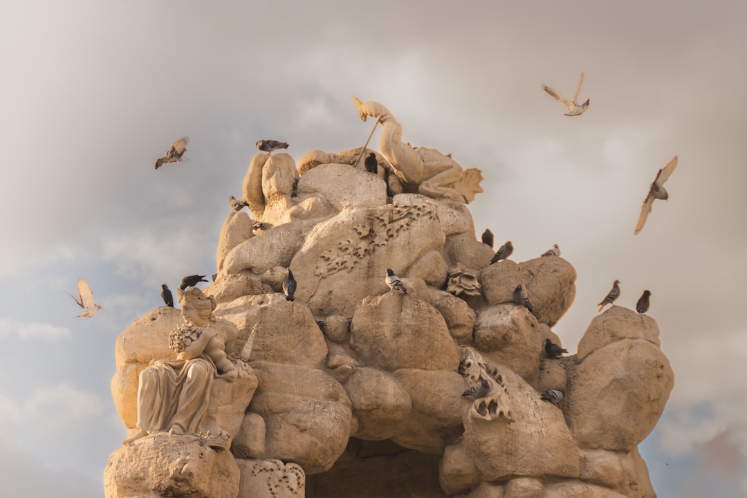Photo gobekli tepe vulture stone calendar discovery