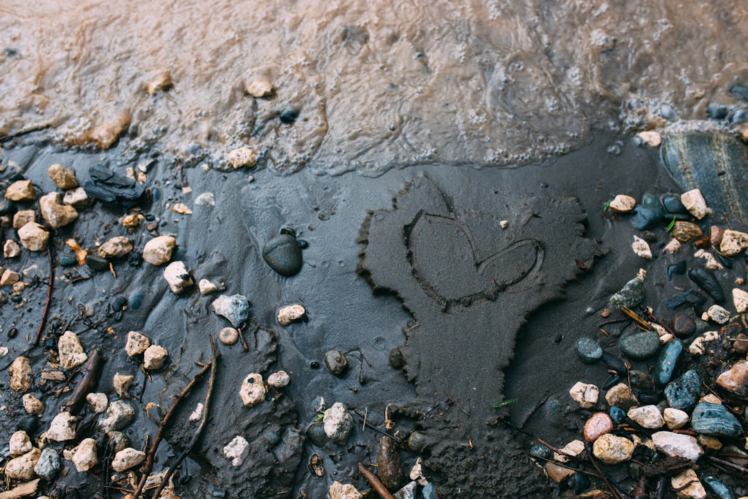 Photo mud flood signature
