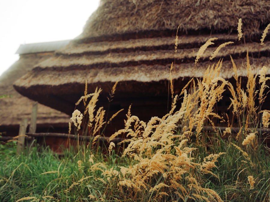 Photo neolithic domestic life