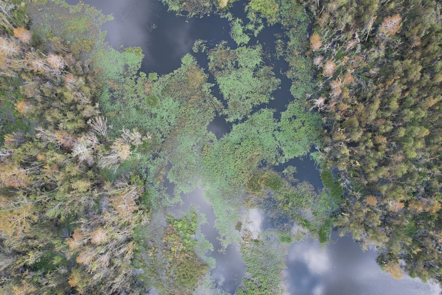 Photo environmental dna mapping