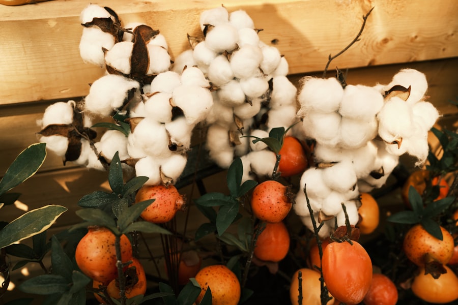 Photo cotton toxins