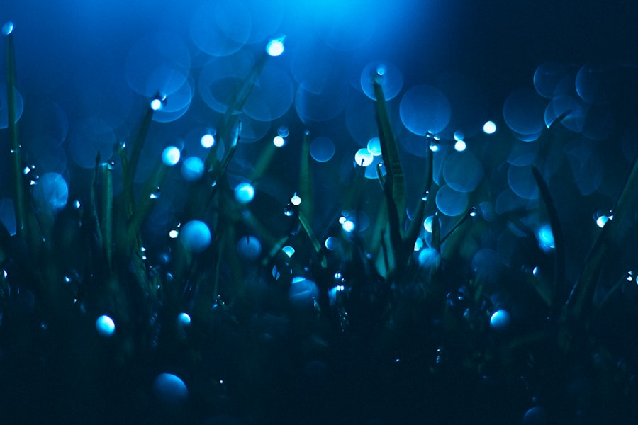 Photo bioluminescent wonders
