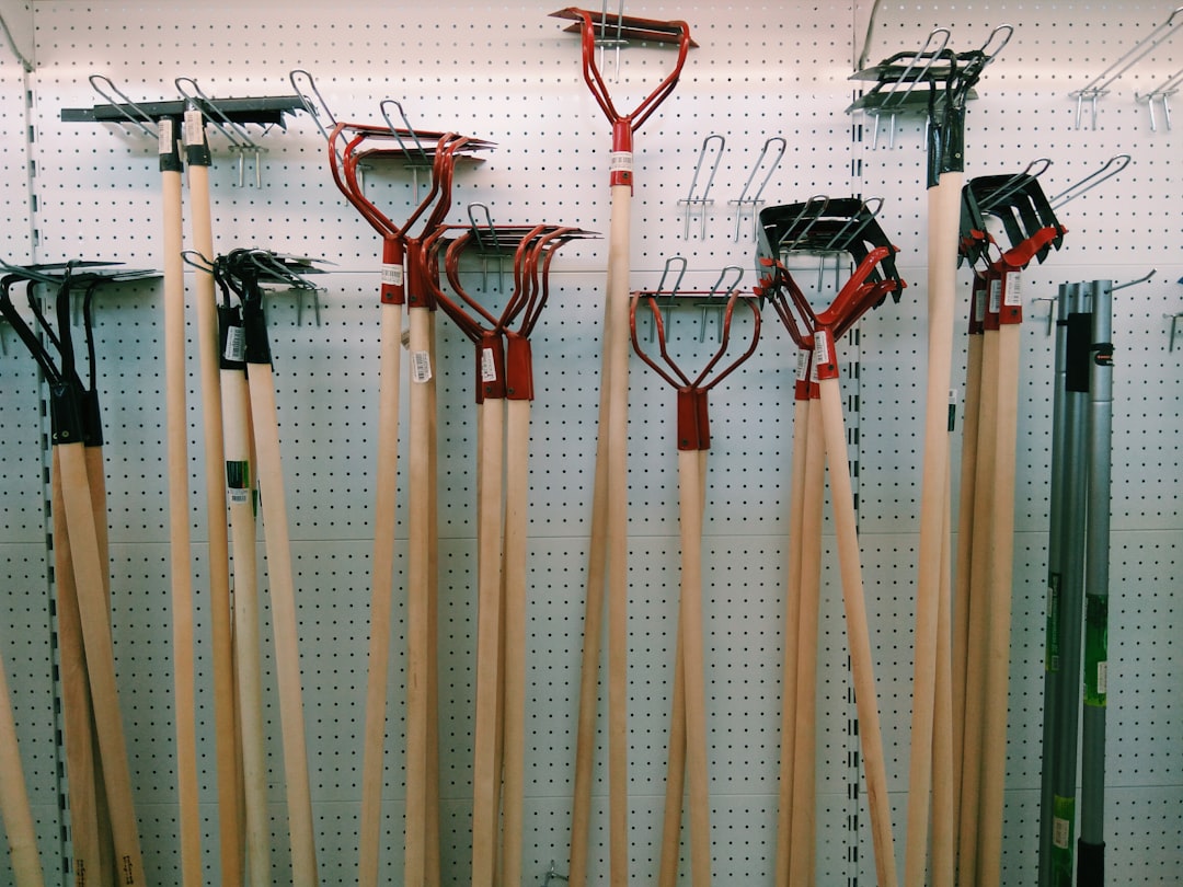 Photo broom standardization
