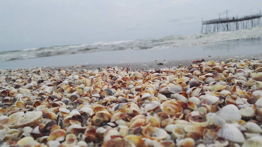 Photo Caspian Sea spill evidence