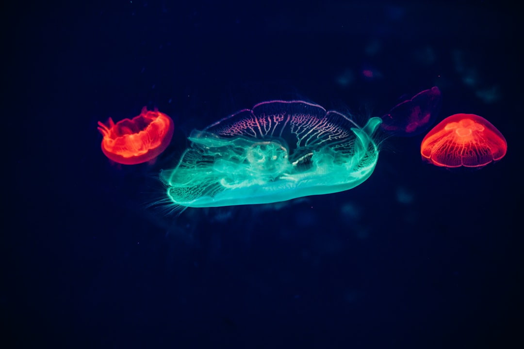 Photo bioluminescent wonders