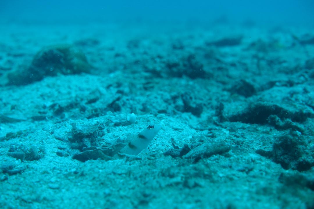 Photo sea unexplained finds