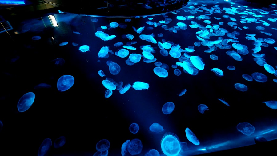 Photo bioluminescent wonders