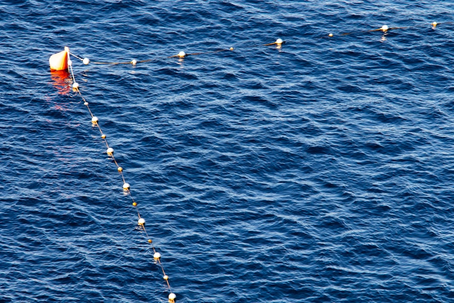 Photo fishing fleet invasion