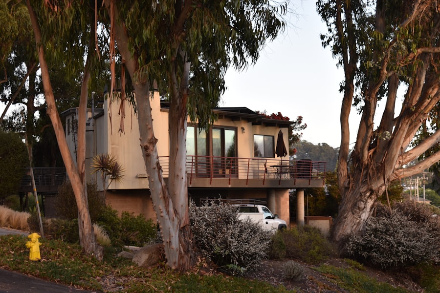 Photo American dream