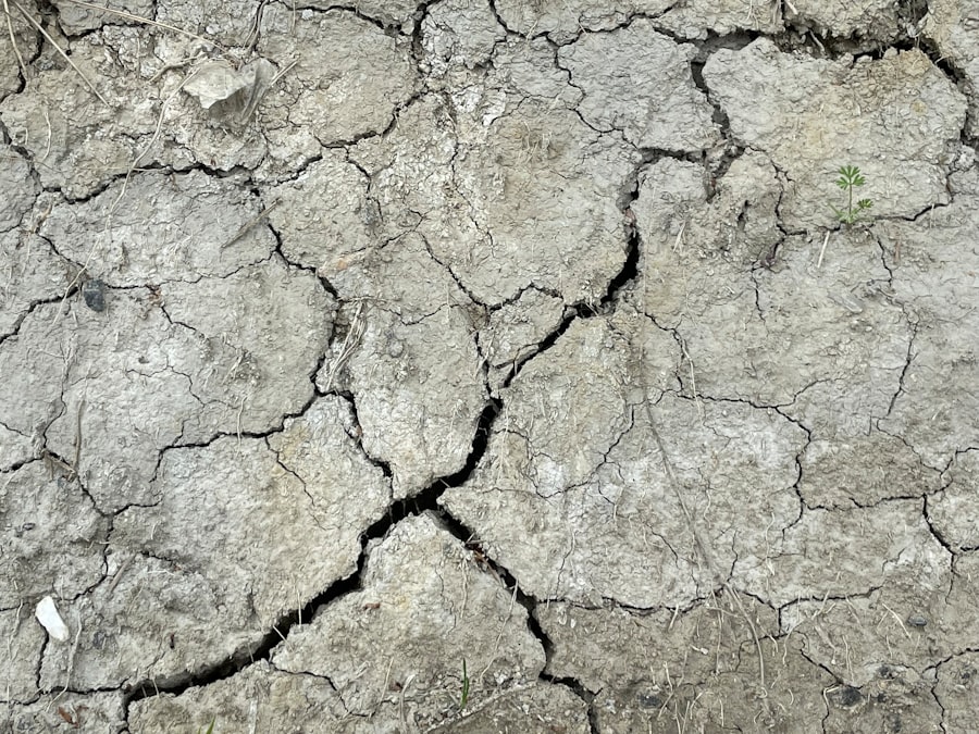 Photo climate collapse