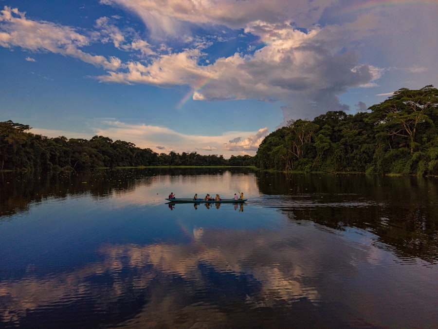 Photo Amazon rainforest