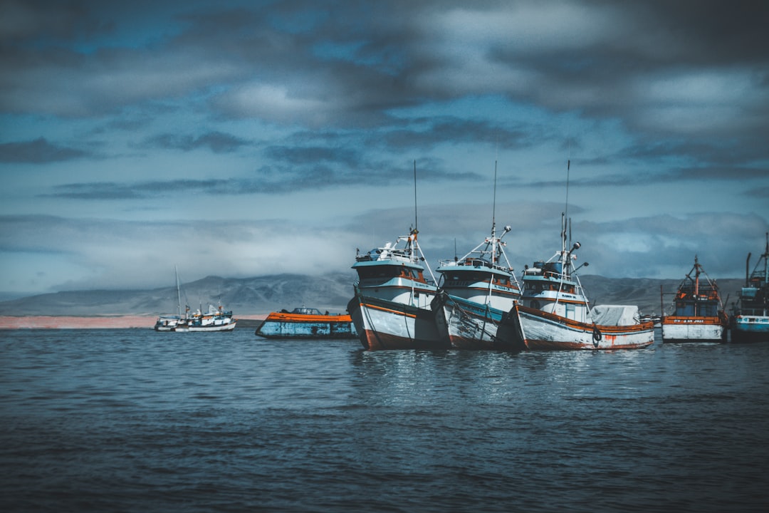 Photo fishing fleet invasion