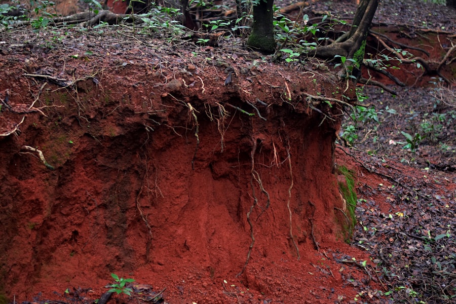 Photo dig earth limits