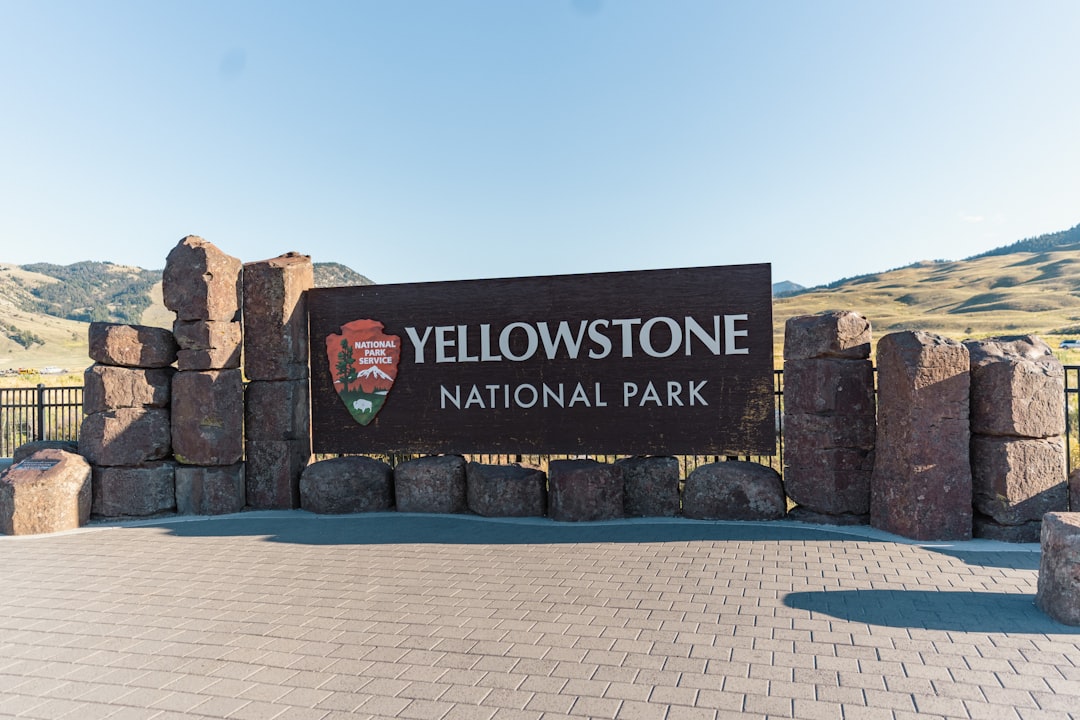 Photo Yellowstone forecast