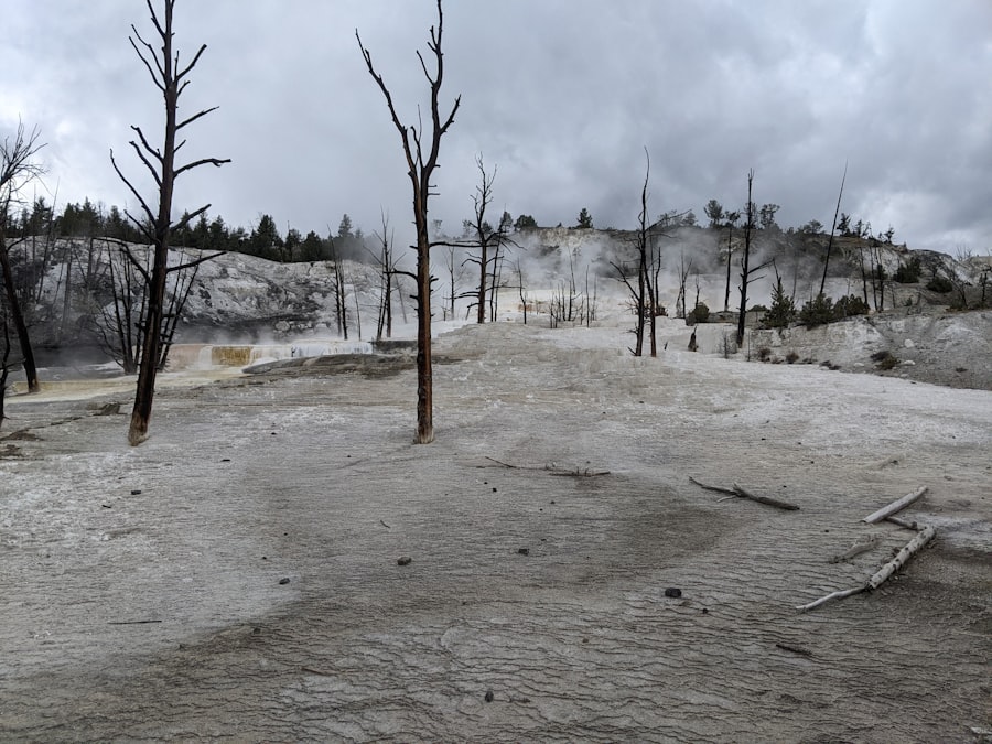 Photo Yellowstone forecast