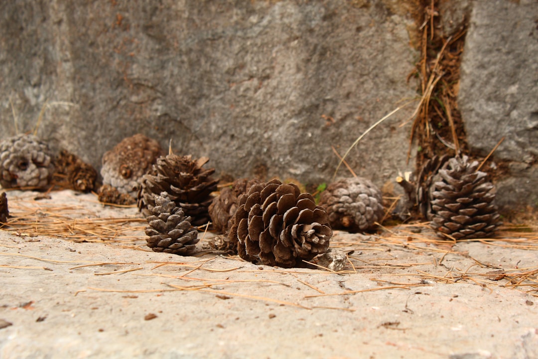 Photo ancient cities