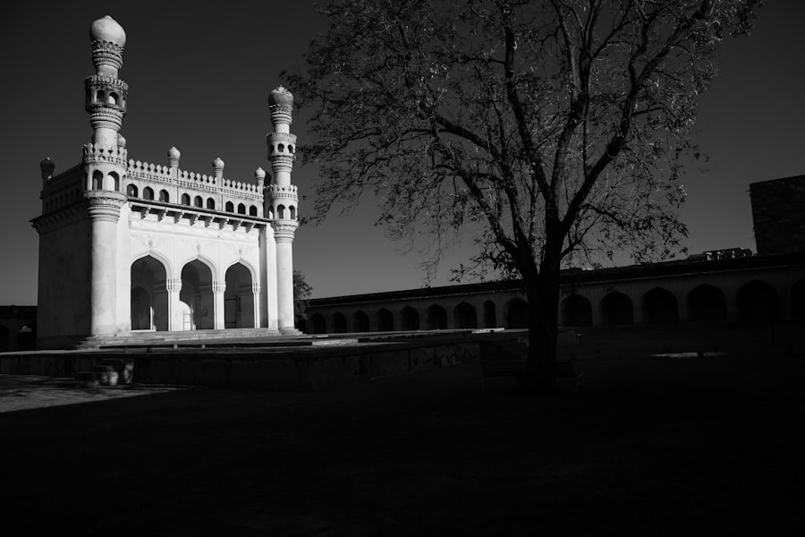 Photo archaeologists