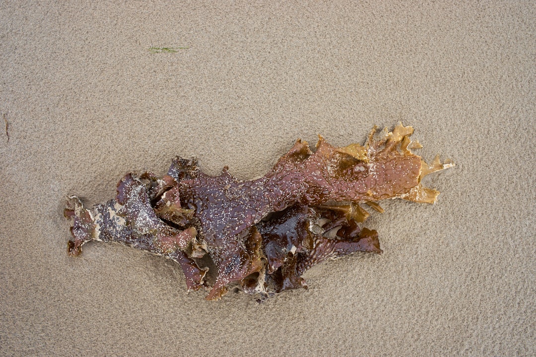 Photo sea unexplained finds