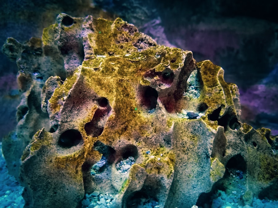 Photo sea unexplained finds