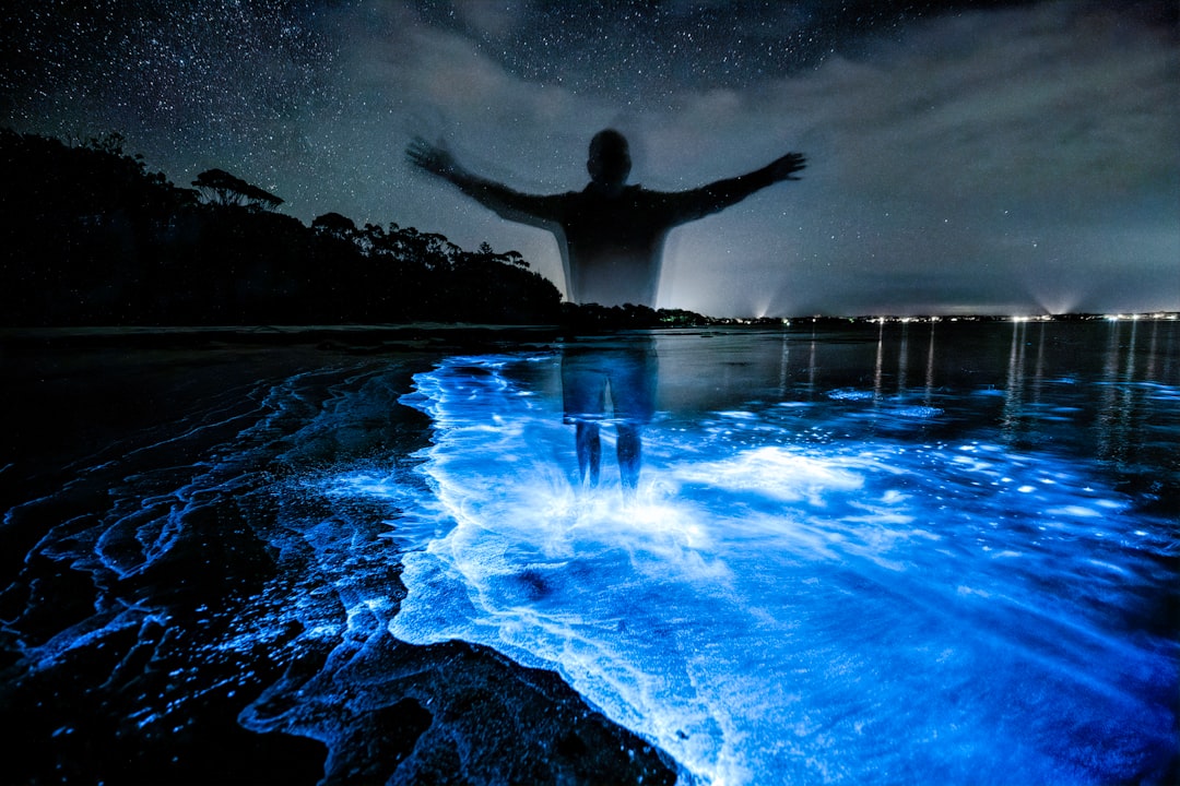 Photo bioluminescent wonders