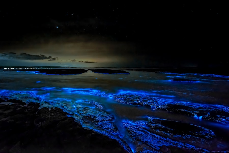 Photo bioluminescent wonders