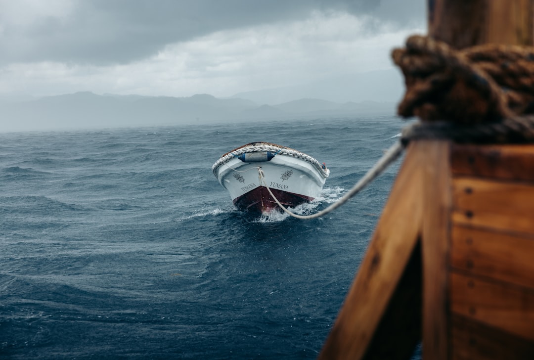 Photo survival at sea