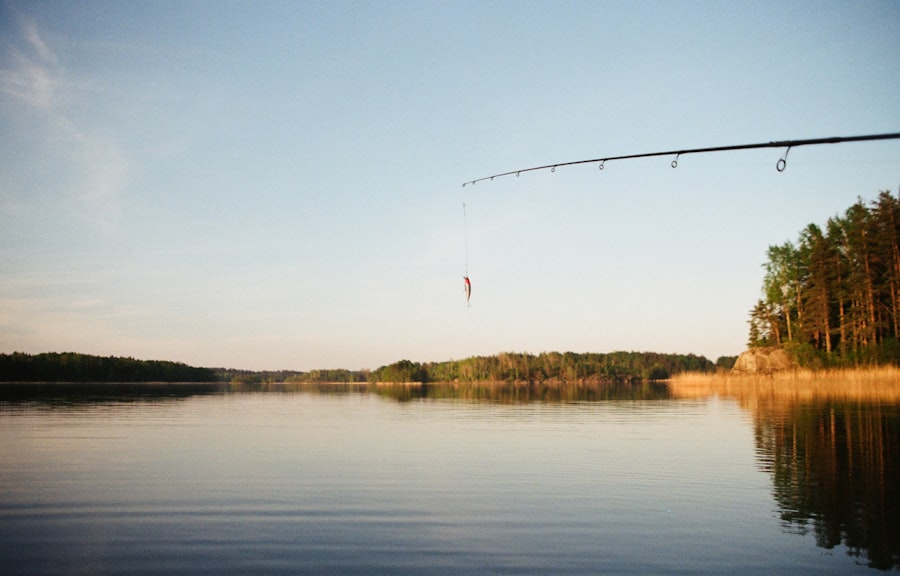 The Ultimate Guide to Fishing: Tips and Techniques