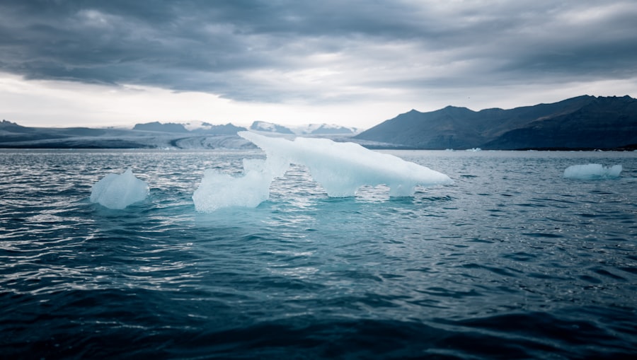Photo Arctic climate change impact
