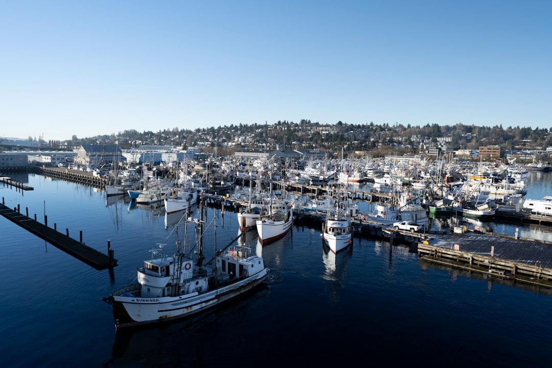 Photo fishing fleet