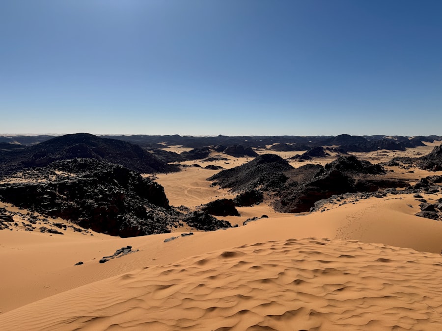 Sahara findings