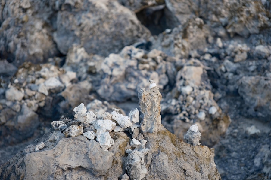 geochemical prospecting