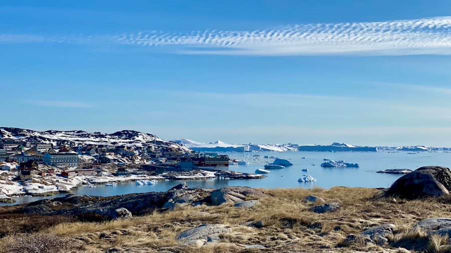 greenland purchase offer