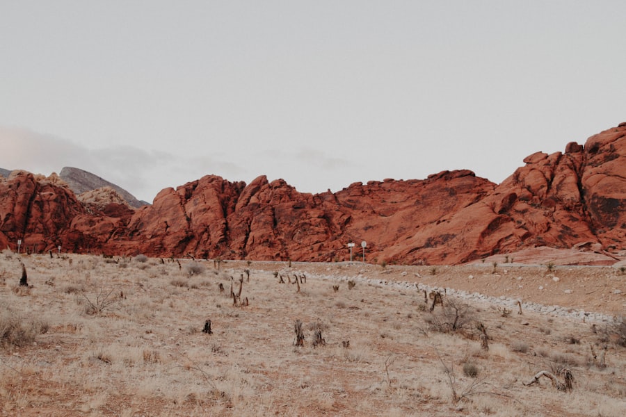 gobi desert