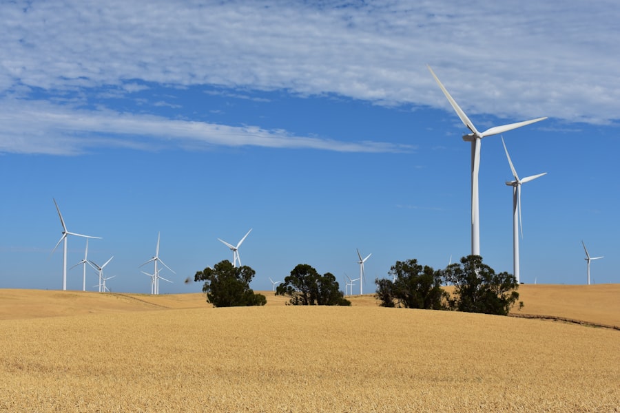 energy independence