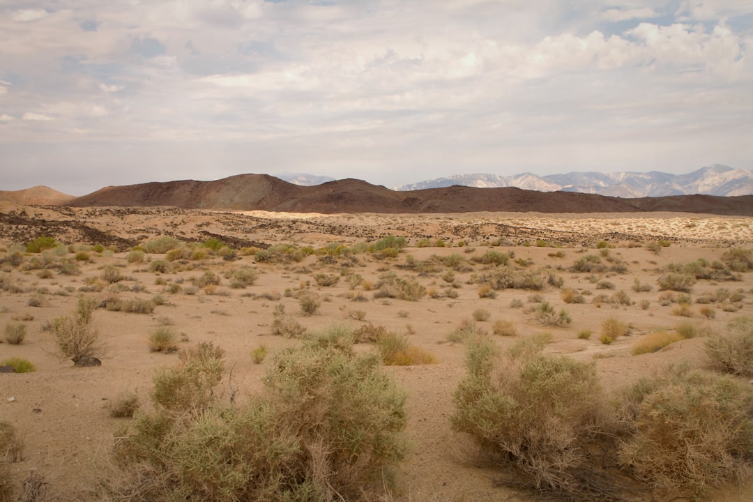 Photo gobi desert