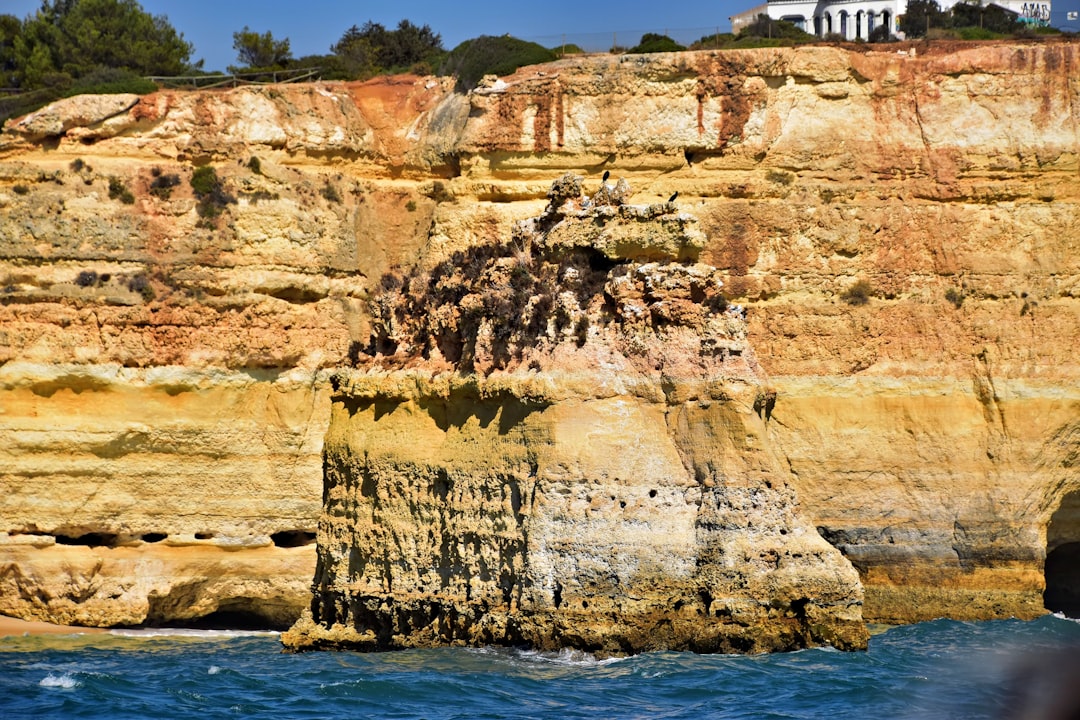 Photo demographic cliff