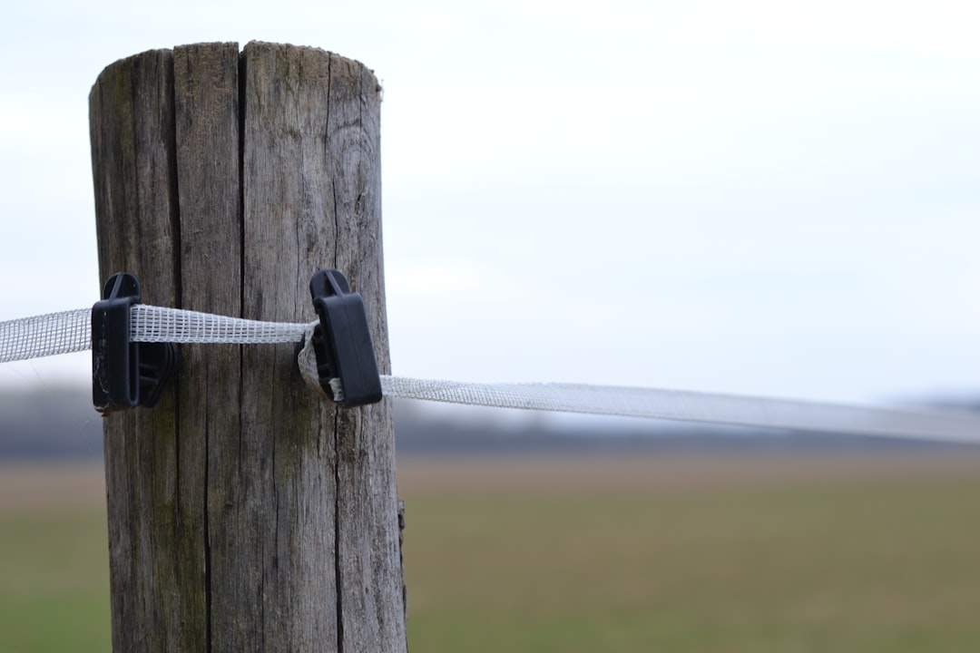 Photo surge protection