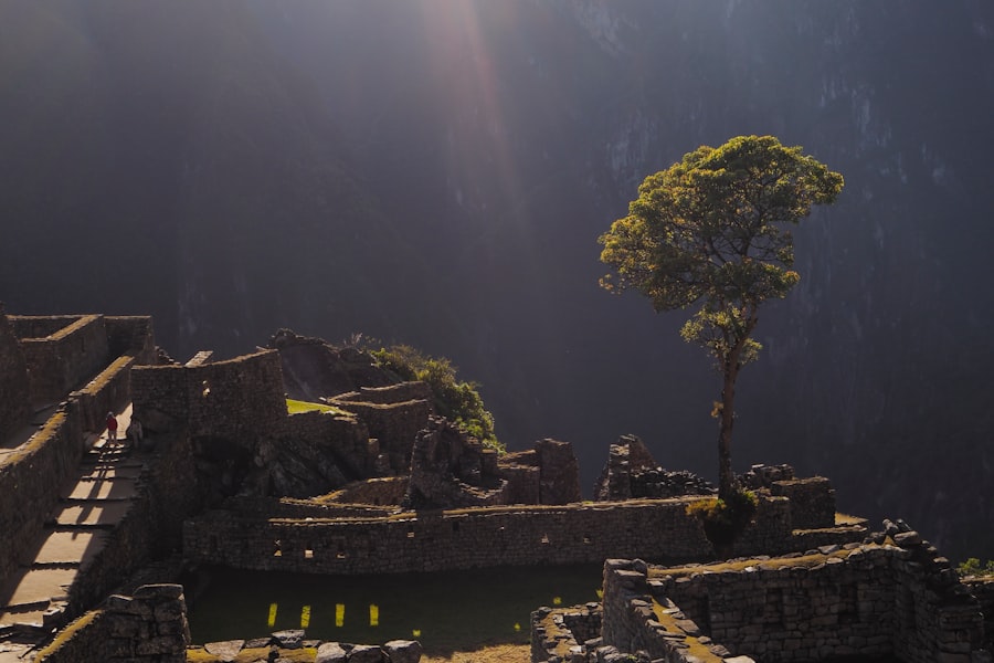 ancient builder civilization dna