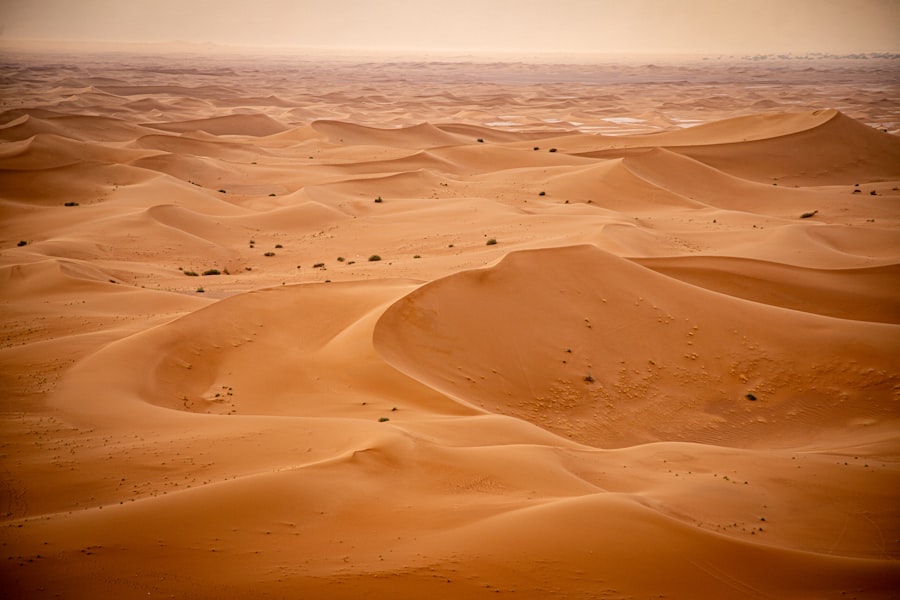 sahara desert radar imagery