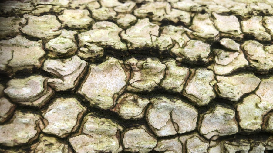 ancient material science